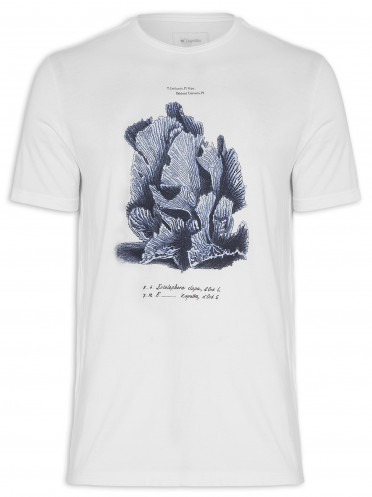 Camiseta Masculina Coral Fossil - Branco