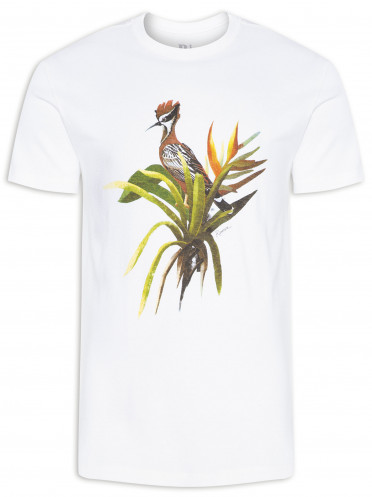 Camiseta Masculina Estampada Pica Pau Botânico - Off White